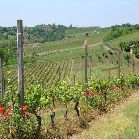 فيلا Cascina Rollone Rocchetta Tanaro المظهر الخارجي الصورة